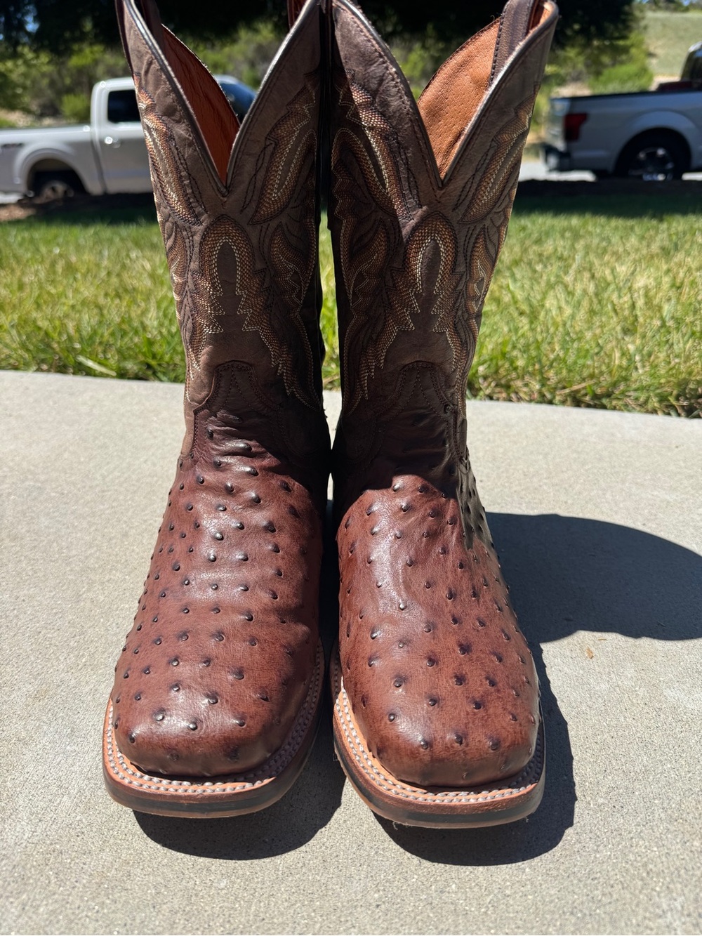 Dan Post Brown Ostrich Print Western Boots